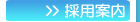 �̗p�ē�