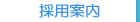 �̗p�ē�